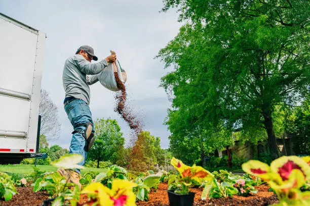 Commercial Landscaping